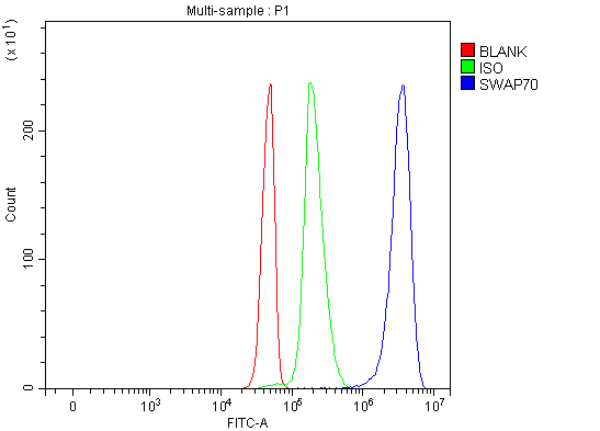 a06972 3 swap70 primary antibodies fcm testing 6