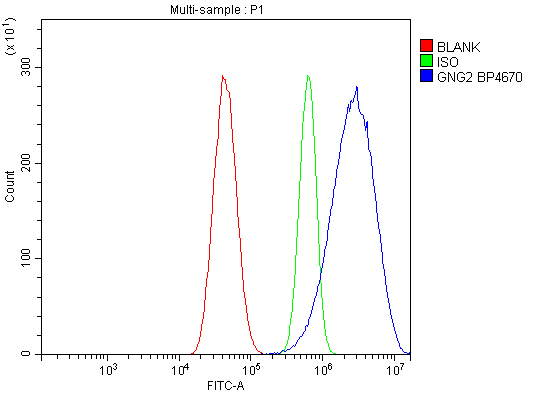 a06975 1 gng2 primary antibodies fcm testing 10