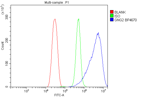 a06975 1 gng2 primary antibodies fcm testing 9