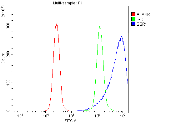 a06993 1 ssr1 primary antibodies fcm testing 8