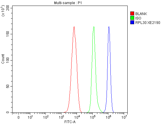a06994 3 rpl30 primary antibodies fcm testing 1
