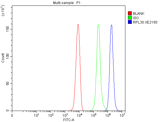 a06994 3 rpl30 primary antibodies fcm testing 2
