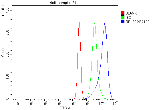 a06994 3 rpl30 primary antibodies fcm testing 3
