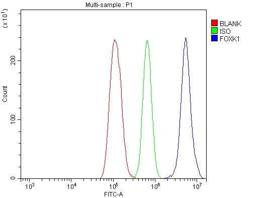 a07015 2 foxk1 primary antibodies fcm testing 11