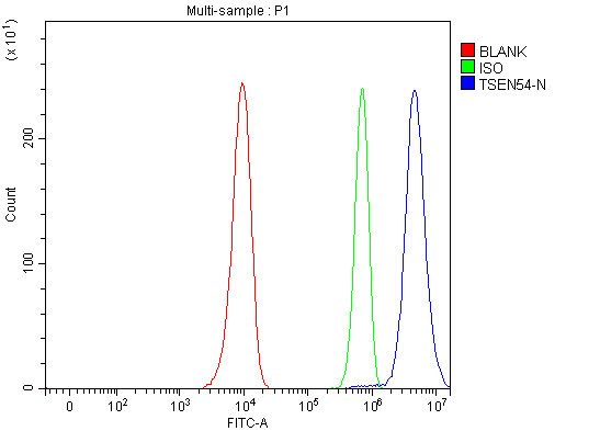 a07022 2 tsen54 primary antibodies fcm testing 4