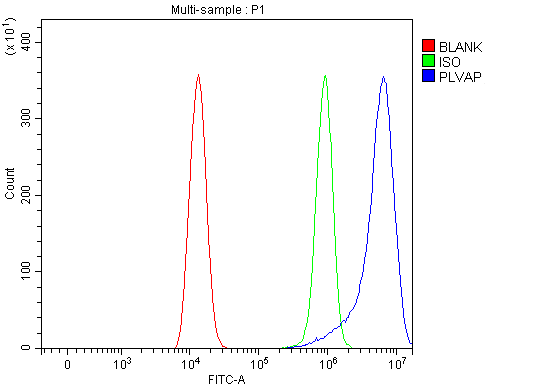  Flow Cytometry analysis of HEL cells using anti-PLVAP antibody (A07024)