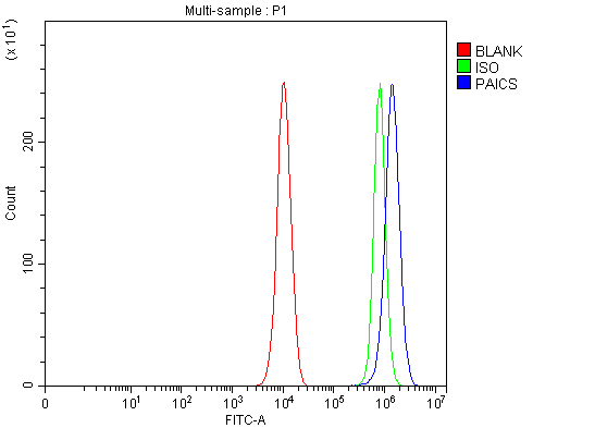  Flow Cytometry analysis of PC-3 cells using anti-PAICS antibody (A07031-1)