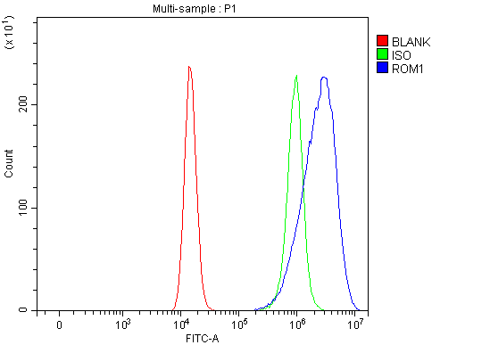 a07035 1 rom1 primary antibodies fcm testing 2