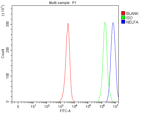  Flow Cytometry analysis of JK cells using anti-NELFA antibody (A07040-1)