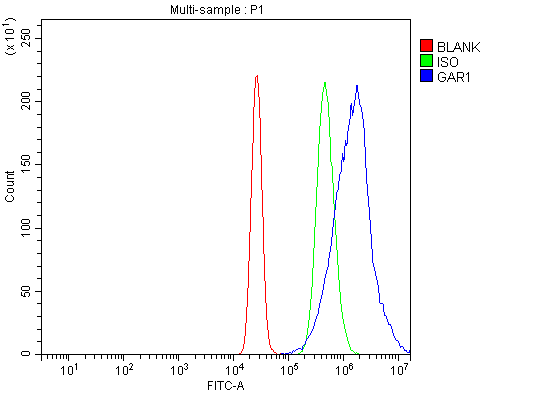 a07049 1 gar1 primary antibodies fcm testing 11