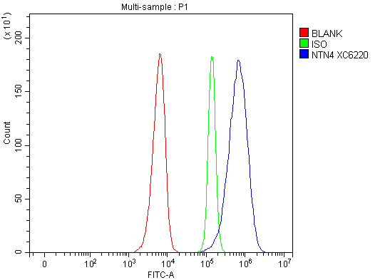 Flow Cytometry analysis of SIHA cells using anti-NTN4 antibody (A07052-1)