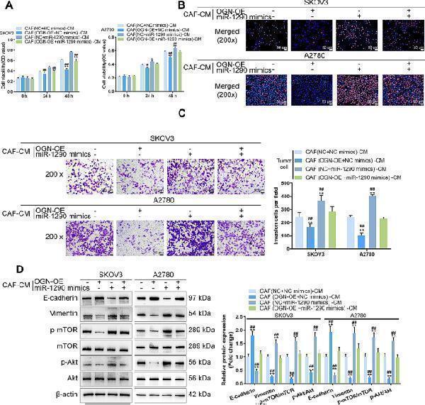 a07061 1 13048_2024_1364_fig5_html