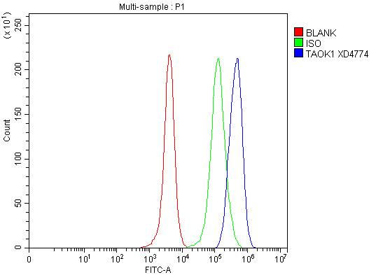 a07063 1 taok1 primary antibodies fcm testing 1