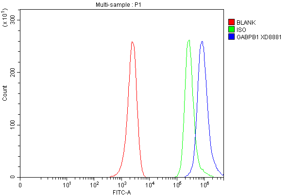 a07070 1 gabpb1 primary antibodies fcm testing 1