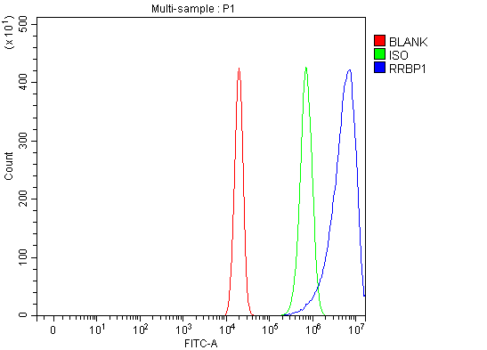 a07074 2 rrbp1 primary antibodies fcm testing 5