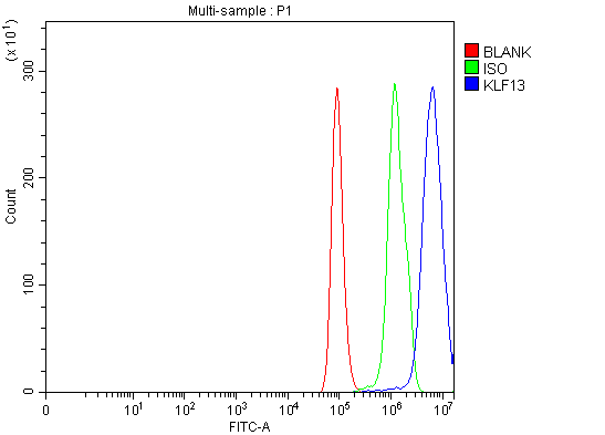 a07076 2 klf13 primary antibodies fcm testing 3