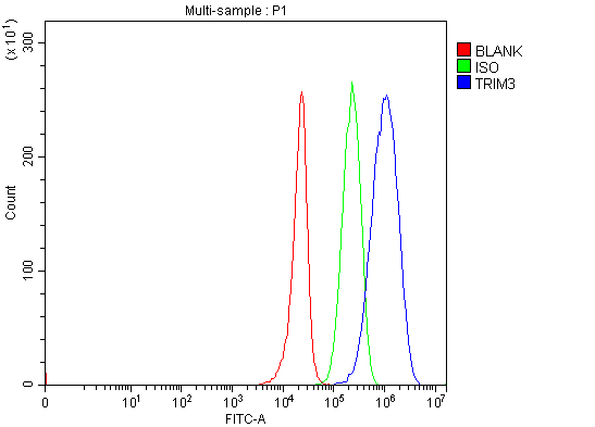  Flow Cytometry analysis of 293T cells using anti-TRIM3 antibody (A07081-2)
