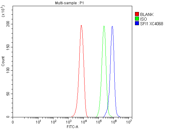 a07097 1 sfi1 primary antibodies fcm testing 1