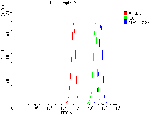 a07098 1 mib2 primary antibodies fcm testing 1