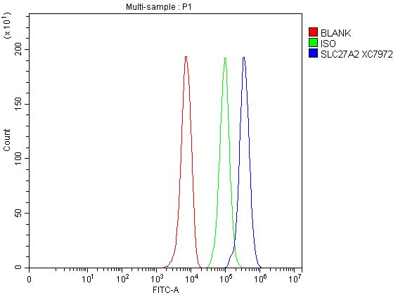 a07140 1 slc27a2 primary antibodies fcm testing 1