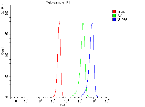 a07147 1 nup85 primary antibodies fcm testing 1