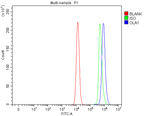 a07162 ola1 primary antibodies fcm testing 3