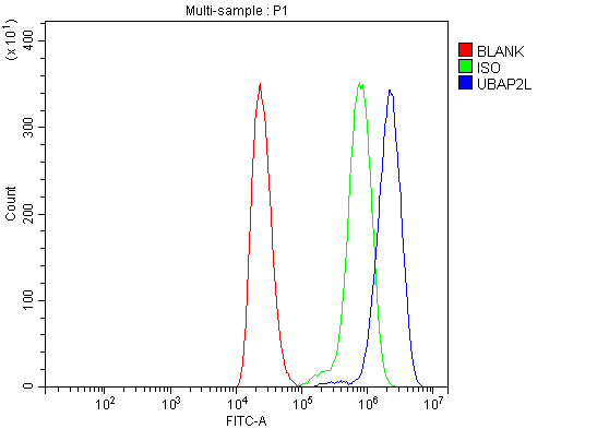 Flow Cytometry analysis of THP-1 cells using anti-UBAP2L antibody (A07183-3)