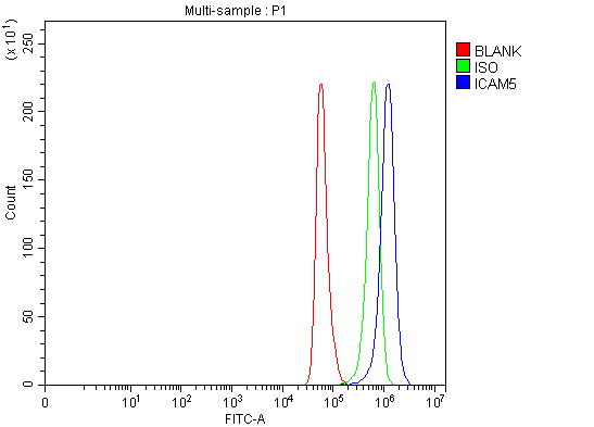  Flow Cytometry analysis of Hela cells using anti-ICAM5 antibody (A07187-2)