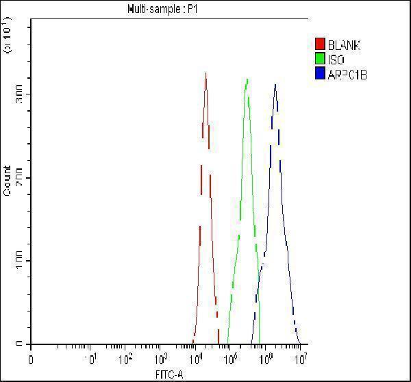 a07192 2 arpc1b primary antibodies fcm testing 3