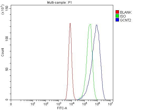 a07194 gcnt2 primary antibodies fcm testing 1