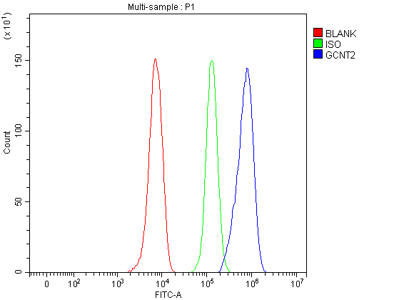 a07194 gcnt2 primary antibodies fcm testing 2
