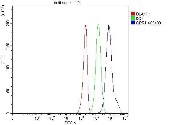 a07199 1 cmklr2 primary antibodies fcm testing 1