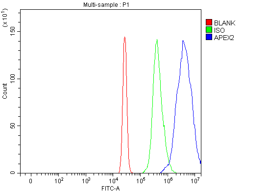  Flow Cytometry analysis of HL-60 cells using anti-APEX2 antibody (A07203-1)