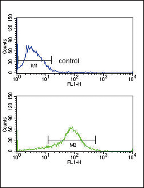 a07203 2 anti apex2 antibody center fc testing 4
