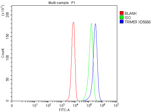 a07207 2 trim59 primary antibodies fcm testing 1