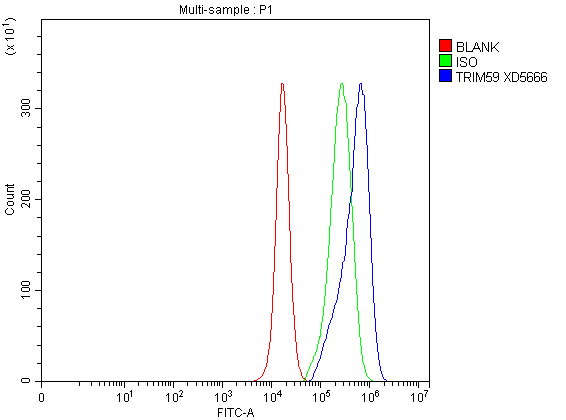 a07207 2 trim59 primary antibodies fcm testing 2