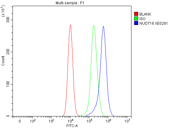 a07209 1 nudt16 primary antibodies fcm testing 1