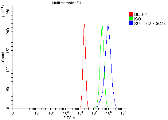 Flow Cytometry analysis of RT4 cells using anti-SULT1C2 antibody (A07212-2)