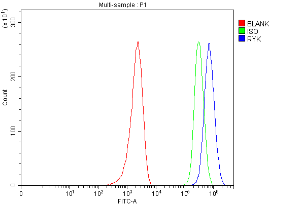 Flow Cytometry analysis of MCF-7 cells using anti-RYK antibody (A07225-1)
