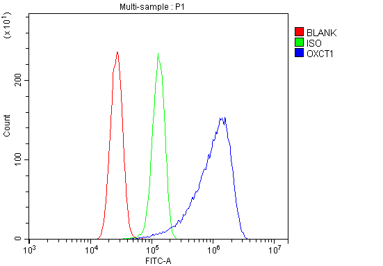 a07229 1 oxct1 primary antibodies fcm testing 3