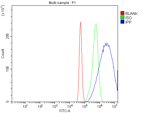  Flow Cytometry analysis of A431 cells using anti-IPP antibody (A07236-1)