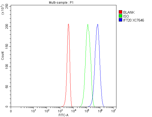 a07253 ift20 primary antibodies fcm testing 1