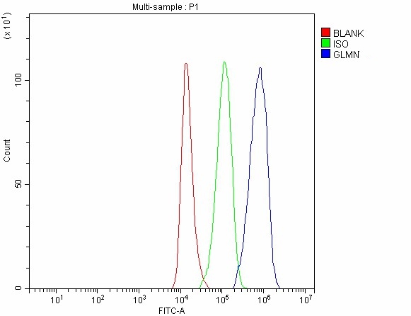  Flow Cytometry analysis of 293T cells using anti-GLMN antibody (A07319-1)