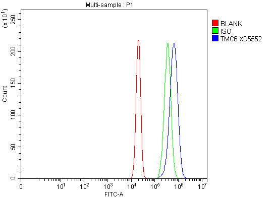 a07322 1 tmc6 primary antibodies fcm testing 1