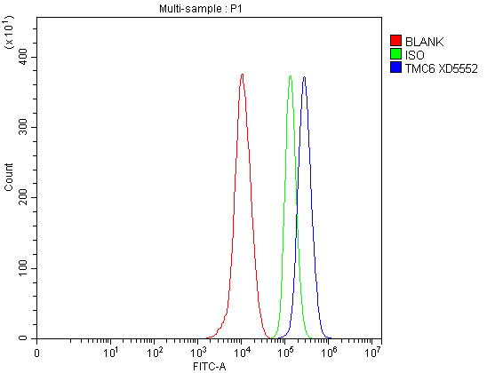 a07322 1 tmc6 primary antibodies fcm testing 2