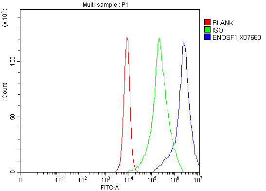 a07325 2 enosf1 primary antibodies fcm testing 1