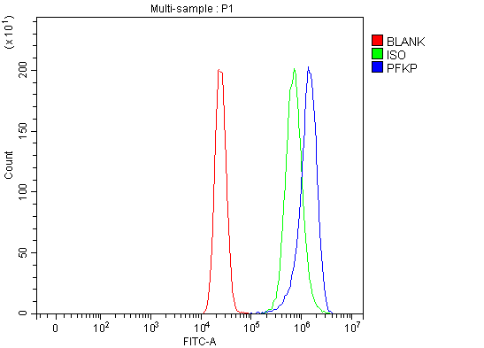 a07337 3 pfkp primary antibodies fcm testing 7