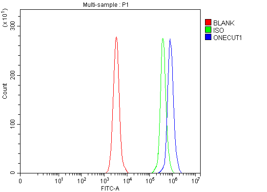 a07349 onecut1 primary antibodies fcm testing 3