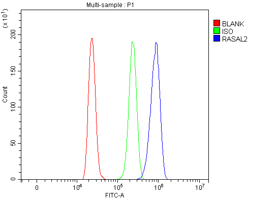  Flow Cytometry analysis of HL-60 cells using anti-RASAL2 antibody (A07356-1)