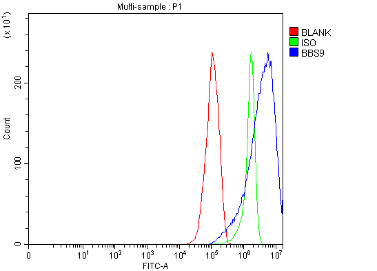 a07367 2 bbs9 primary antibodies fcm testing 8